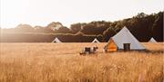 Exterior image of the tents