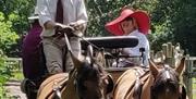 Gotwick Horse Drawn Carriages with lady passenger