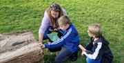 Image of two boys and their mother looking for clues along the trail