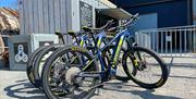 Cadence bicycles