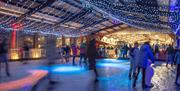 The Ice Rink At Sheffield Park