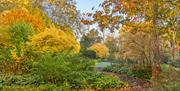 a landscape garden in the autumn