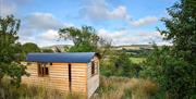 Shepherds Hut looking out onto a green field with trees and shrubs