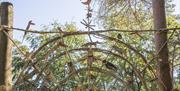 Image of the archway at Wilderness Wood