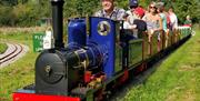 Miniature train, families