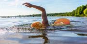 Lady swimming in Bewl Water's water