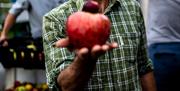 man holding a apple they picked