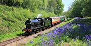 Bluebell Railway travelling through countryside with Bluebells