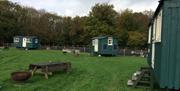 Exterior shot of Shepherds Hut