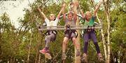 Children on tree swing