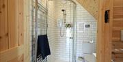 A shower and toilet in a corner, with a heated towel rail and toilet bin