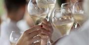 A group of people cheering glasses of wine