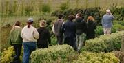 Image of a group walking through the gardens of the vineyard at Rathfinny