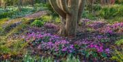 Image of Bates Green Garden