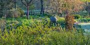 Image of Bates Green Garden