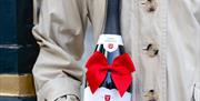 Image of Rathfinny wine bottle with bow on