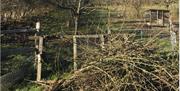 Pruning Course at Bignose and Beardy