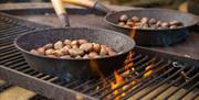 Image of chestnuts roasting at Wilderness Wood