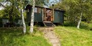 cabin at coes farm