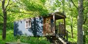 cabin at coes farm