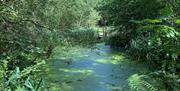 Image of Crowborough Country Park pond