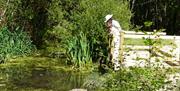 pond, pontoon, trees, park, people