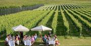 Dine in the vines during summer at sussex vineyard