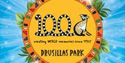 Drusillas 100 years images SQUARE