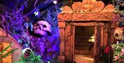 An escape room with a Indiana Jones Jungle theme