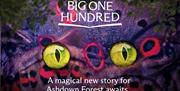 Promotional graphic for “The Big One Hundred” featuring a close-up of a colourful moth or butterfly wing patterned with eye-like markings, with two br