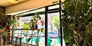 The interior of Foresters Coffee; a bar and stalls looking out towards the window