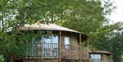 Exterior shot of eco-Lodge Tree Houses