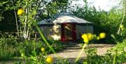 Yurt at Forest Garden - Kushti