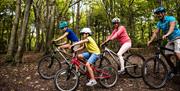 a family of four - two boys and their parents - cycling through woodland