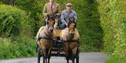 Gotwick Horse Drawn Carriages with two men