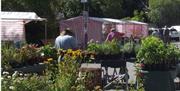 Heathfield Market stands