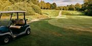 Horam Park Golf buggy