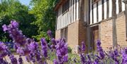 Lavender at Bridge Cottage Exterior shot of building