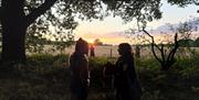 Festivalgoers chatting beneath trees at One Love Festival, with a sunset over the surrounding countryside creating a scenic backdrop to the event.