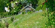 Outside of a cottage where you can see lots of plants and flowers.