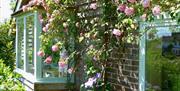 A bright photo with pink flowers running up the side of a cottage.