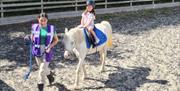 Image of a child hiding a pony at Blackberry Farm Park