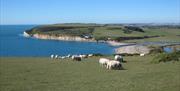 Image of a sunny day at Seven Sisters Country Park