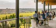 Wine tastings overlooking Rathfinny Wine Estate