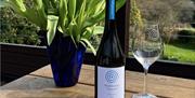 Image of the vine at Winklestone Vineyard