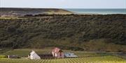 South Downs and the sea from Rathfinny in Sussex