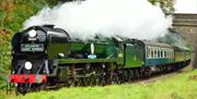A steam train riding along the countryside, underneath a bridge