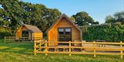 Two wooden cabins in a field with trees in the background