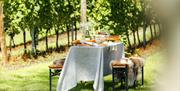 Image of a outside dinner setting at Birchden Vineyards