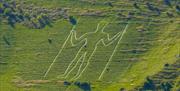 the outline of a white giant man carved in the side of the hill with two sticks surrounded by green countryside